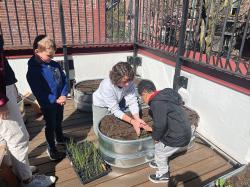 Ellis Early Learning students plant vegetables on the roof deck garden at Ellis in the South End with the help of Green City Growers. Photo courtesy of Ball Consulting Group, LLC.